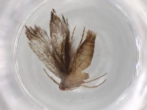  ( - BIOUG86318-H06)  @11 [ ] CreativeCommons - Attribution (2022) Centre for Biodiversity Genomics Centre for Biodiversity Genomics