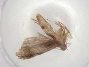  ( - BIOUG86334-B02)  @11 [ ] CreativeCommons - Attribution (2022) Centre for Biodiversity Genomics Centre for Biodiversity Genomics