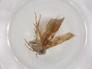  ( - BIOUG86506-C08)  @11 [ ] CreativeCommons - Attribution (2022) Centre for Biodiversity Genomics Centre for Biodiversity Genomics