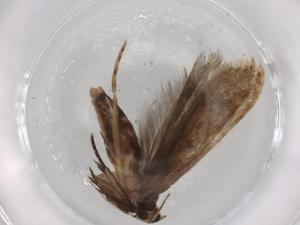  ( - BIOUG87347-B01)  @11 [ ] CreativeCommons - Attribution (2022) Centre for Biodiversity Genomics Centre for Biodiversity Genomics