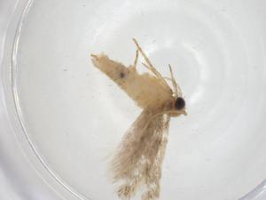  ( - CBG-A11810-H08)  @11 [ ] CreativeCommons - Attribution Share - Alike (2023) Centre for Biodiversity Genomics Centre for Biodiversity Genomics