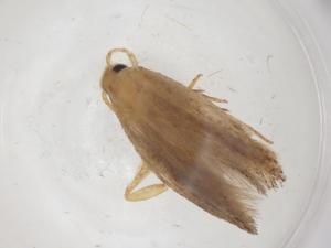  ( - CBG-A56393-A06)  @11 [ ] CreativeCommons - Attribution Share - Alike (2024) Centre for Biodiversity Genomics Centre for Biodiversity Genomics