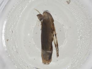  ( - CBG-A08827-E07)  @11 [ ] CreativeCommons - Attribution Share - Alike (2023) Centre for Biodiversity Genomics Centre for Biodiversity Genomics