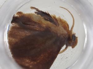  ( - CBG-A08840-G03)  @11 [ ] CreativeCommons - Attribution Share - Alike (2023) Centre for Biodiversity Genomics Centre for Biodiversity Genomics