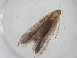  ( - CBG-A08841-A08)  @11 [ ] CreativeCommons - Attribution Share - Alike (2023) Centre for Biodiversity Genomics Centre for Biodiversity Genomics