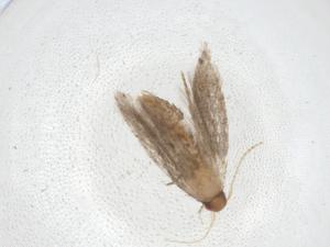  ( - CBG-A11272-G10)  @11 [ ] CreativeCommons - Attribution Share - Alike (2023) Centre for Biodiversity Genomics Centre for Biodiversity Genomics