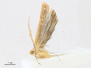  ( - CBG-A16688-F10)  @11 [ ] CreativeCommons - Attribution Share - Alike (2023) CBG Photography Group Centre for Biodiversity Genomics