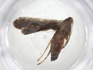  ( - CBG-A17406-E01)  @11 [ ] CreativeCommons - Attribution Share - Alike (2023) Centre for Biodiversity Genomics Centre for Biodiversity Genomics