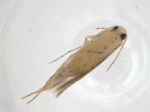  ( - CBG-A35921-H04)  @11 [ ] CreativeCommons - Attribution Share - Alike (2024) Centre for Biodiversity Genomics Centre for Biodiversity Genomics