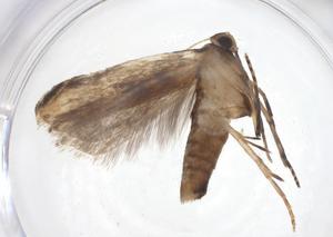  ( - CBG-A35959-E01)  @11 [ ] CreativeCommons - Attribution Share - Alike (2024) Centre for Biodiversity Genomics Centre for Biodiversity Genomics