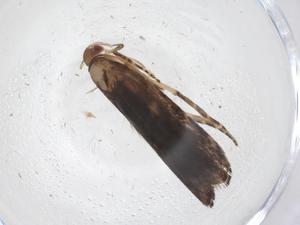  ( - CBG-A35959-F04)  @11 [ ] CreativeCommons - Attribution Share - Alike (2024) Centre for Biodiversity Genomics Centre for Biodiversity Genomics