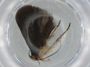  ( - BIOUG75354-D04)  @11 [ ] CreativeCommons - Attribution (2021) Centre for Biodiversity Genomics Centre for Biodiversity Genomics