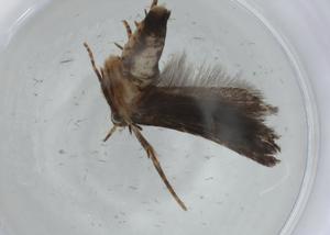  ( - BIOUG76117-A07)  @11 [ ] CreativeCommons - Attribution (2021) Centre for Biodiversity Genomics Centre for Biodiversity Genomics