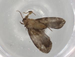  ( - BIOUG78364-F09)  @11 [ ] CreativeCommons - Attribution (2022) Centre for Biodiversity Genomics Centre for Biodiversity Genomics