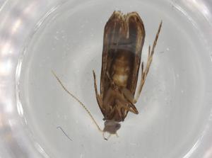  ( - BIOUG78364-F10)  @11 [ ] CreativeCommons - Attribution (2022) Centre for Biodiversity Genomics Centre for Biodiversity Genomics