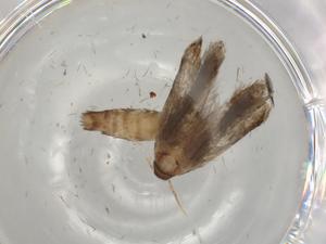  ( - BIOUG79932-E01)  @11 [ ] CreativeCommons - Attribution (2022) Centre for Biodiversity Genomics Centre for Biodiversity Genomics