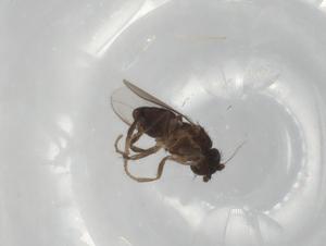  ( - BIOUG79962-H05)  @11 [ ] CreativeCommons - Attribution (2022) Centre for Biodiversity Genomics Centre for Biodiversity Genomics