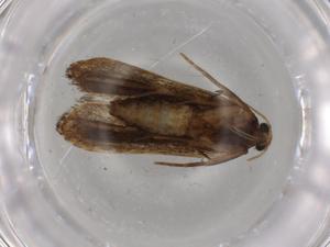  ( - BIOUG80271-F08)  @11 [ ] CreativeCommons - Attribution (2022) Centre for Biodiversity Genomics Centre for Biodiversity Genomics