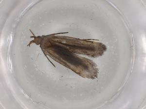  ( - BIOUG80789-E06)  @11 [ ] CreativeCommons - Attribution (2022) Centre for Biodiversity Genomics Centre for Biodiversity Genomics