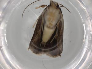  ( - BIOUG80798-F01)  @11 [ ] CreativeCommons - Attribution (2022) Centre for Biodiversity Genomics Centre for Biodiversity Genomics