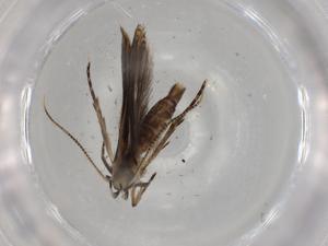  ( - BIOUG80872-F04)  @11 [ ] CreativeCommons - Attribution (2022) Centre for Biodiversity Genomics Centre for Biodiversity Genomics