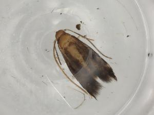  ( - BIOUG80873-A10)  @11 [ ] CreativeCommons - Attribution (2022) Centre for Biodiversity Genomics Centre for Biodiversity Genomics