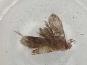  ( - BIOUG80873-B01)  @11 [ ] CreativeCommons - Attribution (2022) Centre for Biodiversity Genomics Centre for Biodiversity Genomics