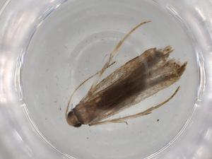  ( - BIOUG80921-C12)  @11 [ ] CreativeCommons - Attribution (2022) Centre for Biodiversity Genomics Centre for Biodiversity Genomics