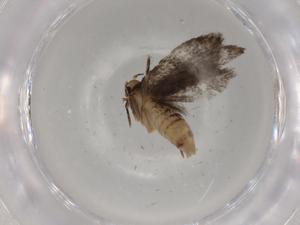  ( - BIOUG80921-D10)  @11 [ ] CreativeCommons - Attribution (2022) Centre for Biodiversity Genomics Centre for Biodiversity Genomics