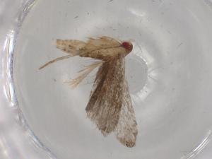  ( - BIOUG81125-F04)  @11 [ ] CreativeCommons - Attribution (2022) Centre for Biodiversity Genomics Centre for Biodiversity Genomics