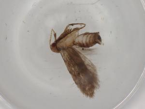  ( - BIOUG81154-A01)  @11 [ ] CreativeCommons - Attribution (2022) Centre for Biodiversity Genomics Centre for Biodiversity Genomics