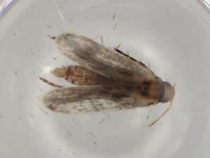  ( - BIOUG81179-F03)  @11 [ ] CreativeCommons - Attribution (2022) Centre for Biodiversity Genomics Centre for Biodiversity Genomics