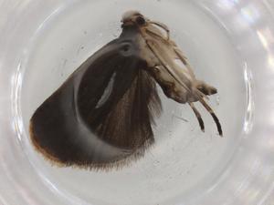  ( - BIOUG80949-E11)  @11 [ ] CreativeCommons - Attribution (2022) Centre for Biodiversity Genomics Centre for Biodiversity Genomics