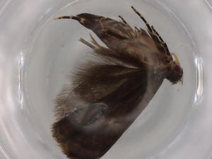  ( - BIOUG81713-B06)  @11 [ ] CreativeCommons - Attribution (2022) Centre for Biodiversity Genomics Centre for Biodiversity Genomics