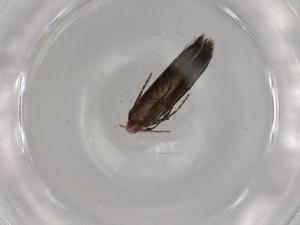  ( - BIOUG81713-E04)  @11 [ ] CreativeCommons - Attribution (2022) Centre for Biodiversity Genomics Centre for Biodiversity Genomics