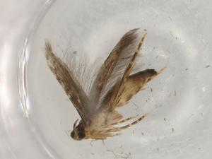  ( - BIOUG82002-D10)  @11 [ ] CreativeCommons - Attribution (2022) Centre for Biodiversity Genomics Centre for Biodiversity Genomics