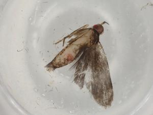  ( - BIOUG82002-G10)  @11 [ ] CreativeCommons - Attribution (2022) Centre for Biodiversity Genomics Centre for Biodiversity Genomics