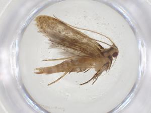  ( - CBG-A19111-E03)  @11 [ ] CreativeCommons - Attribution Share - Alike (2023) Centre for Biodiversity Genomics Centre for Biodiversity Genomics