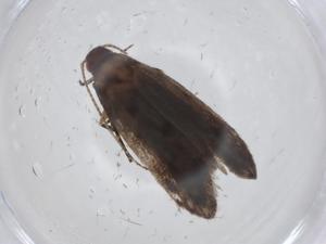  ( - CBG-A20423-F10)  @11 [ ] CreativeCommons - Attribution Share - Alike (2023) Centre for Biodiversity Genomics Centre for Biodiversity Genomics