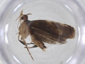  ( - CBG-A20423-G08)  @11 [ ] CreativeCommons - Attribution Share - Alike (2023) Centre for Biodiversity Genomics Centre for Biodiversity Genomics