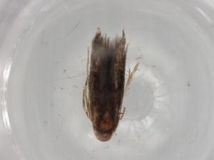  ( - BIOUG79124-F04)  @11 [ ] CreativeCommons - Attribution (2022) Centre for Biodiversity Genomics Centre for Biodiversity Genomics