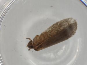  ( - BIOUG80213-H02)  @11 [ ] CreativeCommons - Attribution (2022) Centre for Biodiversity Genomics Centre for Biodiversity Genomics