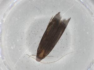  ( - BIOUG84769-F08)  @11 [ ] CreativeCommons - Attribution (2022) Centre for Biodiversity Genomics Centre for Biodiversity Genomics