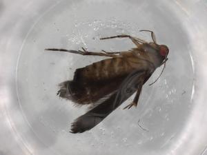  ( - BIOUG84846-H03)  @11 [ ] CreativeCommons - Attribution (2022) Centre for Biodiversity Genomics Centre for Biodiversity Genomics