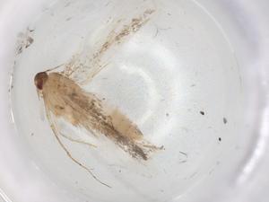  ( - BIOUG85668-A10)  @11 [ ] CreativeCommons - Attribution (2022) Centre for Biodiversity Genomics Centre for Biodiversity Genomics