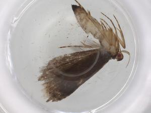  ( - BIOUG85991-A01)  @11 [ ] CreativeCommons - Attribution (2022) Centre for Biodiversity Genomics Centre for Biodiversity Genomics