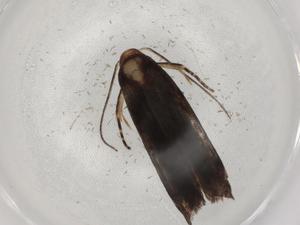  ( - BIOUG86728-C10)  @11 [ ] CreativeCommons - Attribution (2022) Centre for Biodiversity Genomics Centre for Biodiversity Genomics