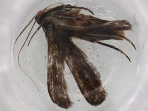  ( - BIOUG86795-B12)  @11 [ ] CreativeCommons - Attribution (2022) Centre for Biodiversity Genomics Centre for Biodiversity Genomics