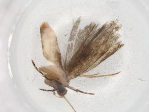  ( - BIOUG87023-G05)  @11 [ ] CreativeCommons - Attribution (2022) Centre for Biodiversity Genomics Centre for Biodiversity Genomics