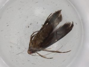  ( - BIOUG87040-A02)  @11 [ ] CreativeCommons - Attribution (2022) Centre for Biodiversity Genomics Centre for Biodiversity Genomics